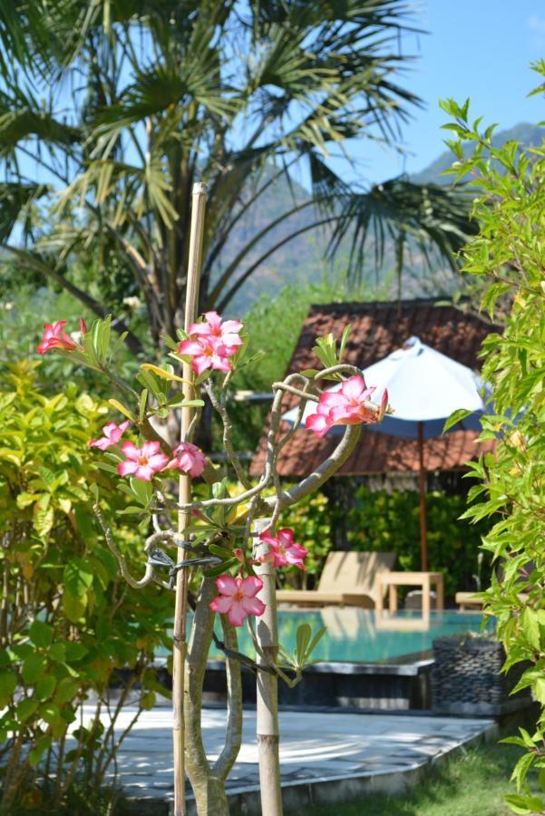 Sunia Loka Bungalows & Dive Center Pemuteran Exteriör bild