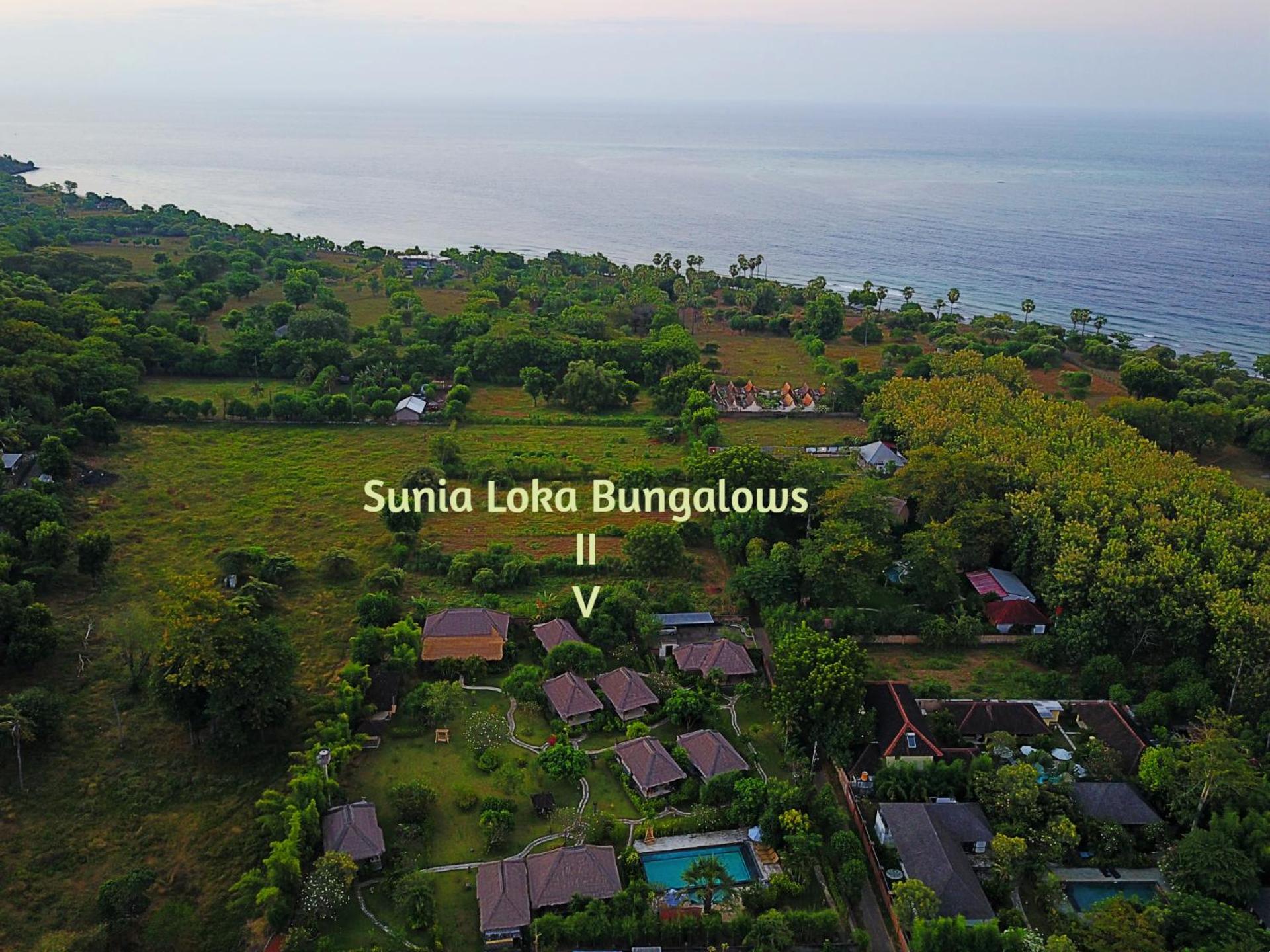 Sunia Loka Bungalows & Dive Center Pemuteran Exteriör bild