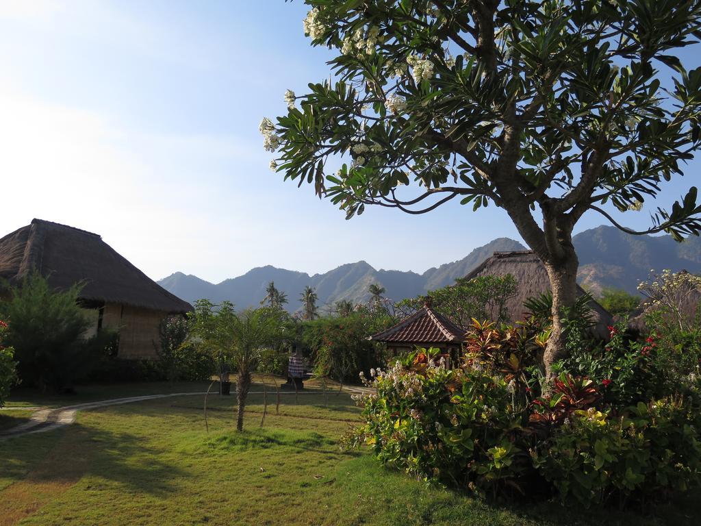 Sunia Loka Bungalows & Dive Center Pemuteran Exteriör bild