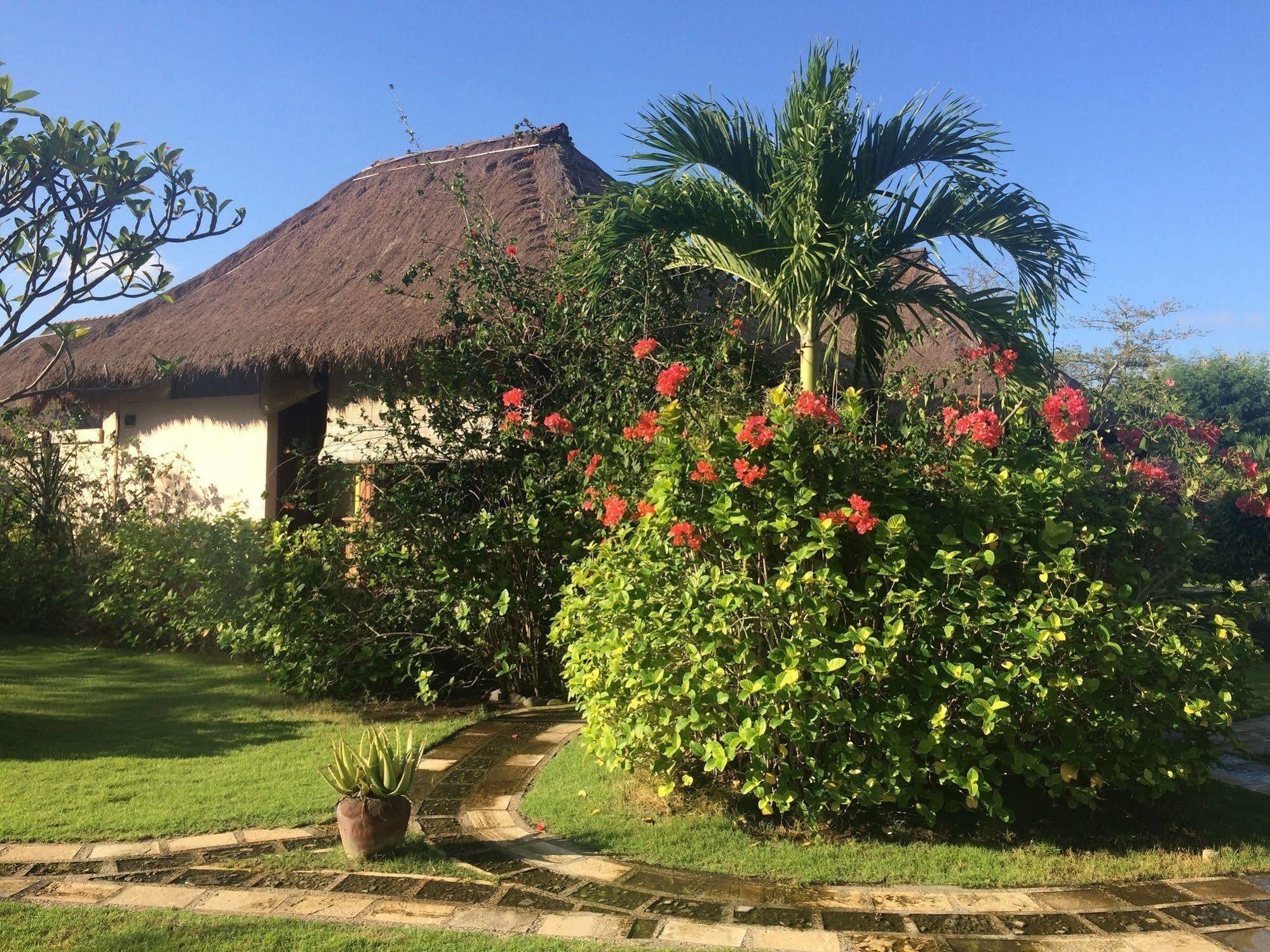 Sunia Loka Bungalows & Dive Center Pemuteran Exteriör bild