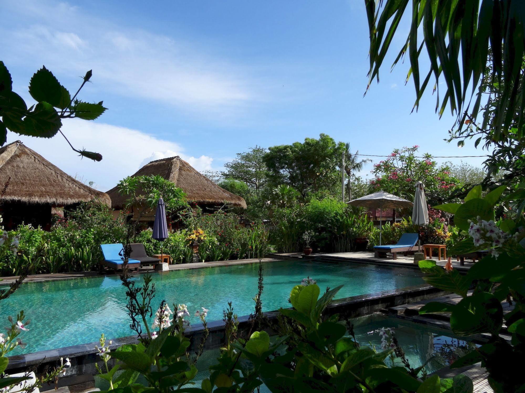 Sunia Loka Bungalows & Dive Center Pemuteran Exteriör bild