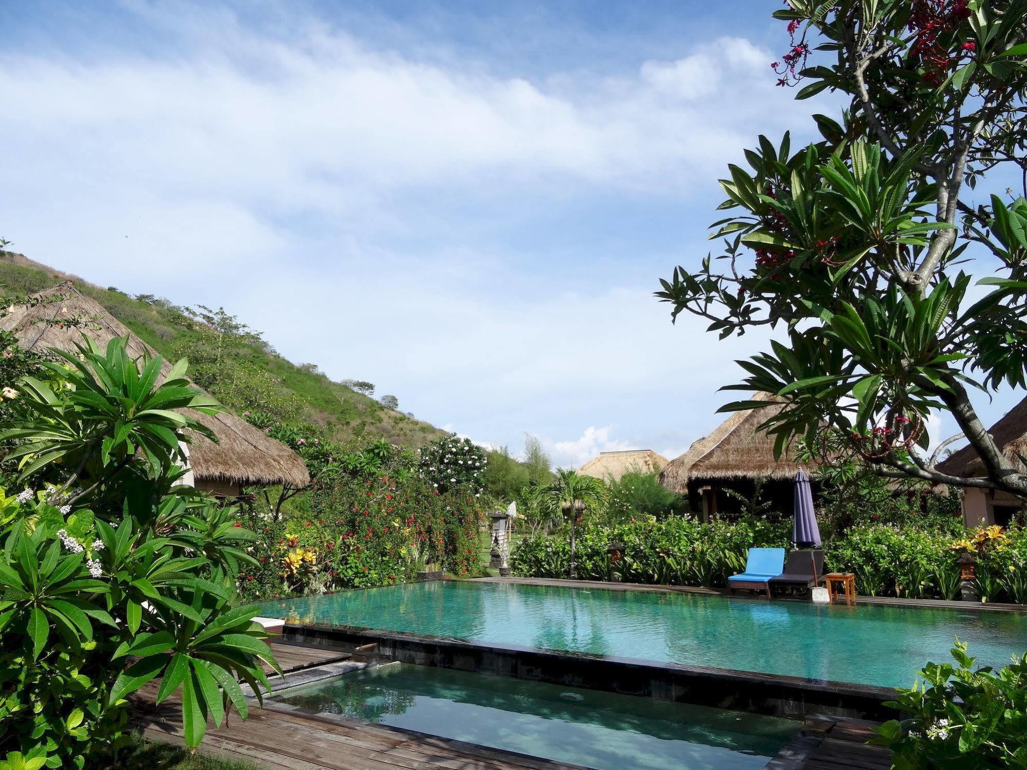 Sunia Loka Bungalows & Dive Center Pemuteran Exteriör bild