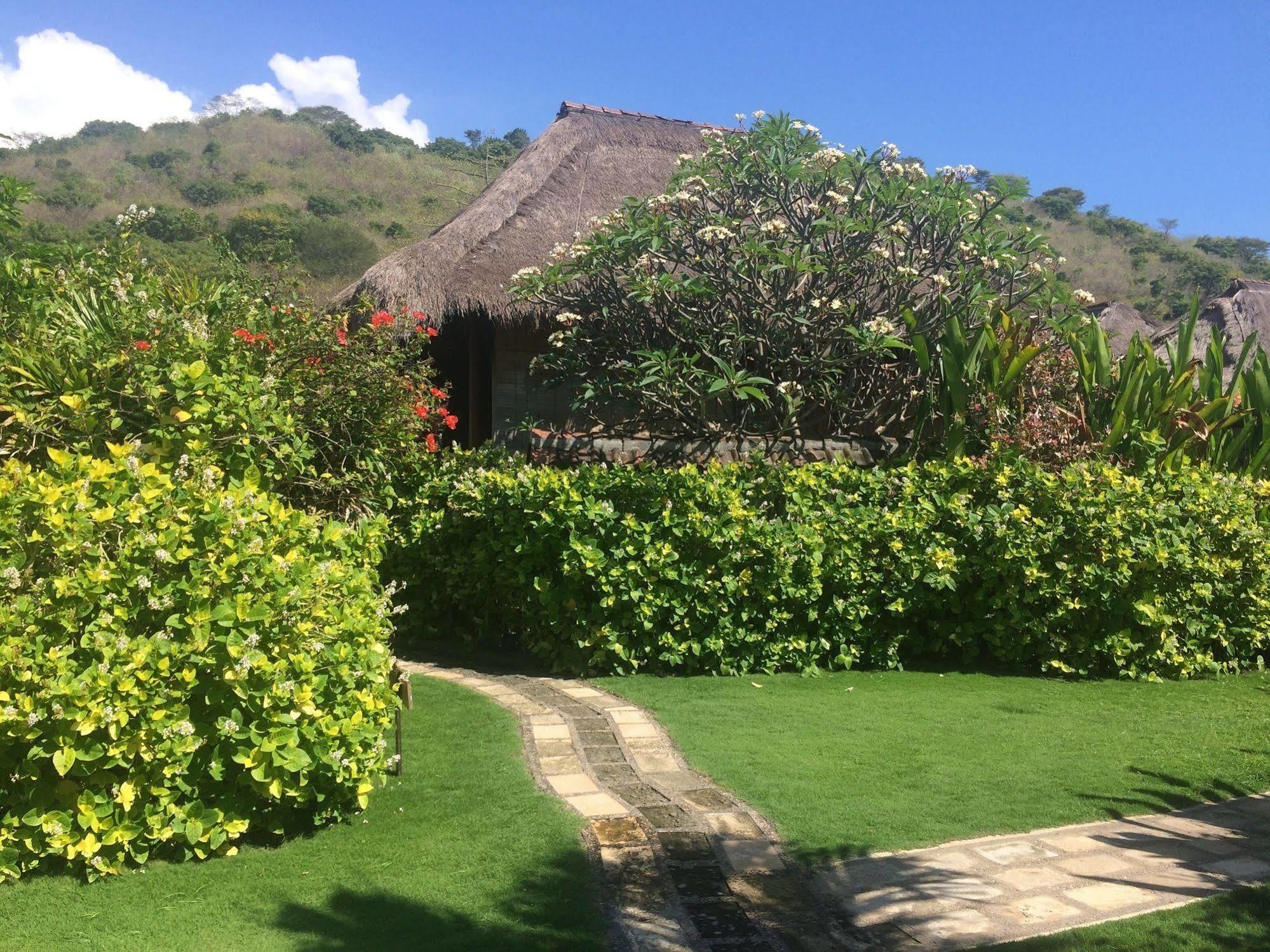Sunia Loka Bungalows & Dive Center Pemuteran Exteriör bild