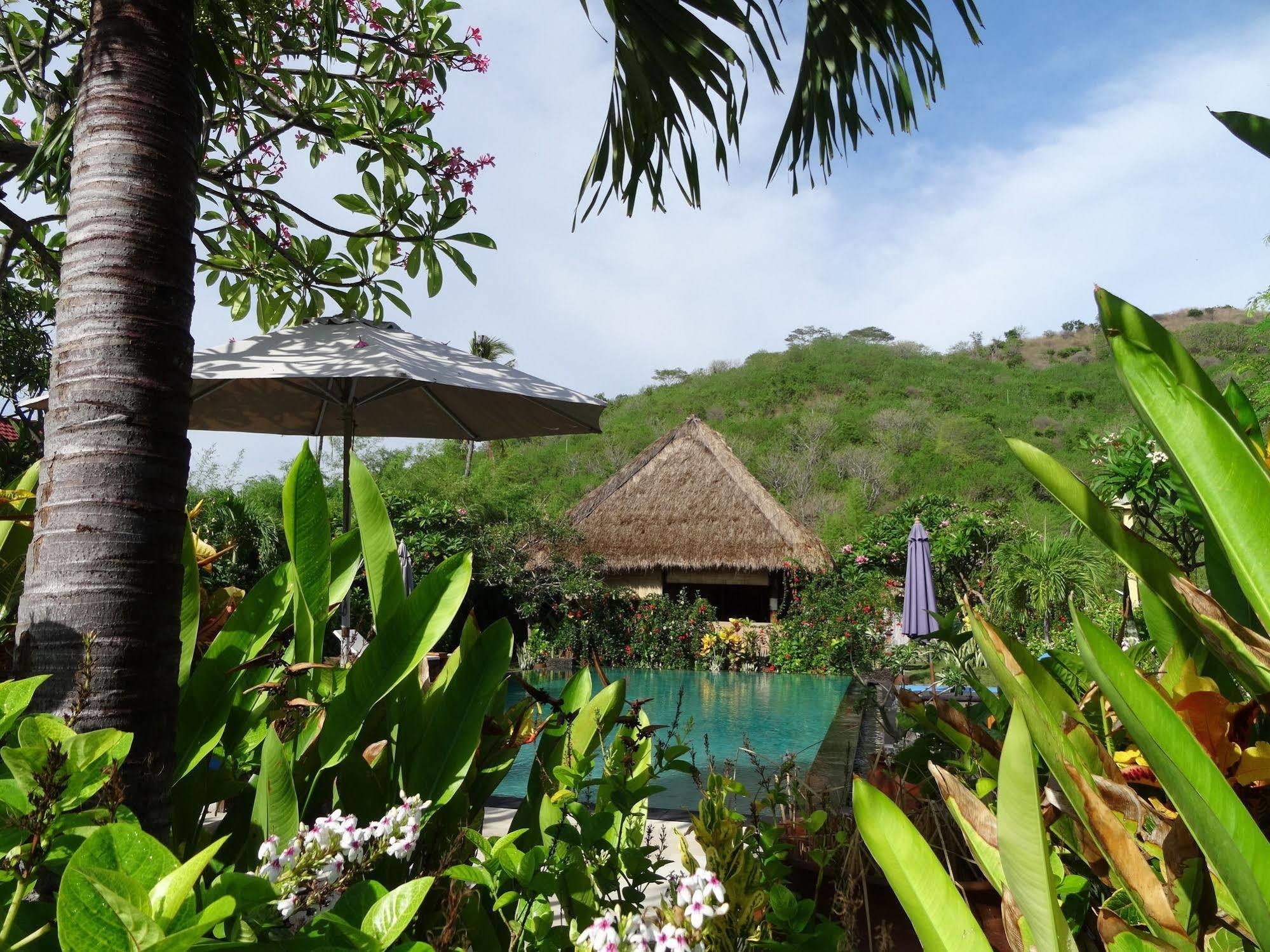 Sunia Loka Bungalows & Dive Center Pemuteran Exteriör bild